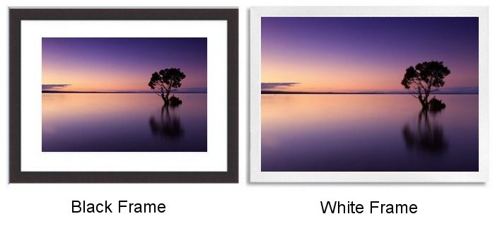 Select Your Frame Select Your Frame